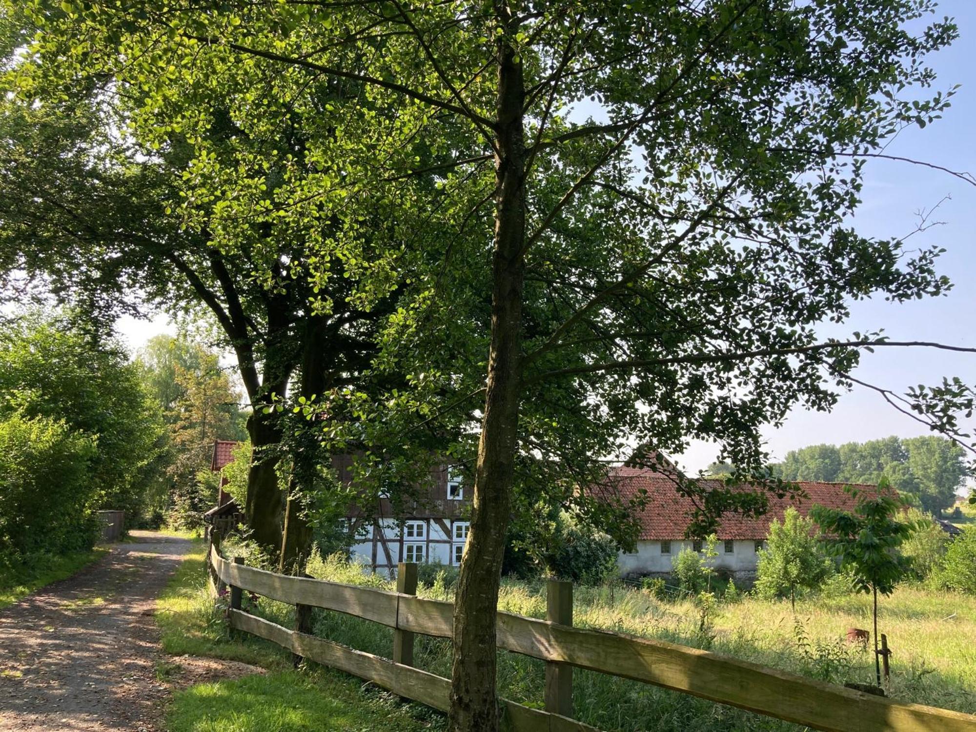 In Der Wassermuehle Melle Exteriér fotografie