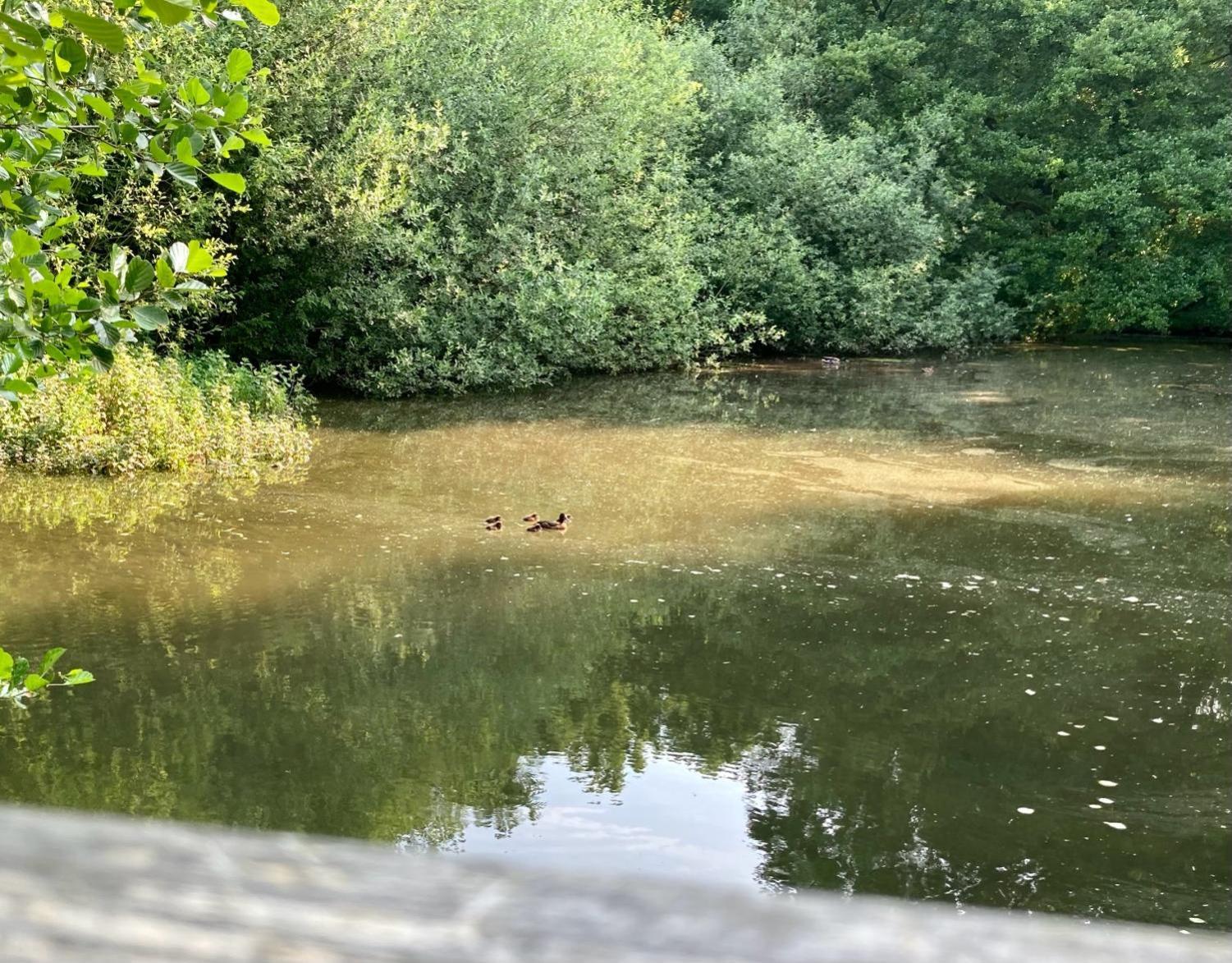 In Der Wassermuehle Melle Exteriér fotografie