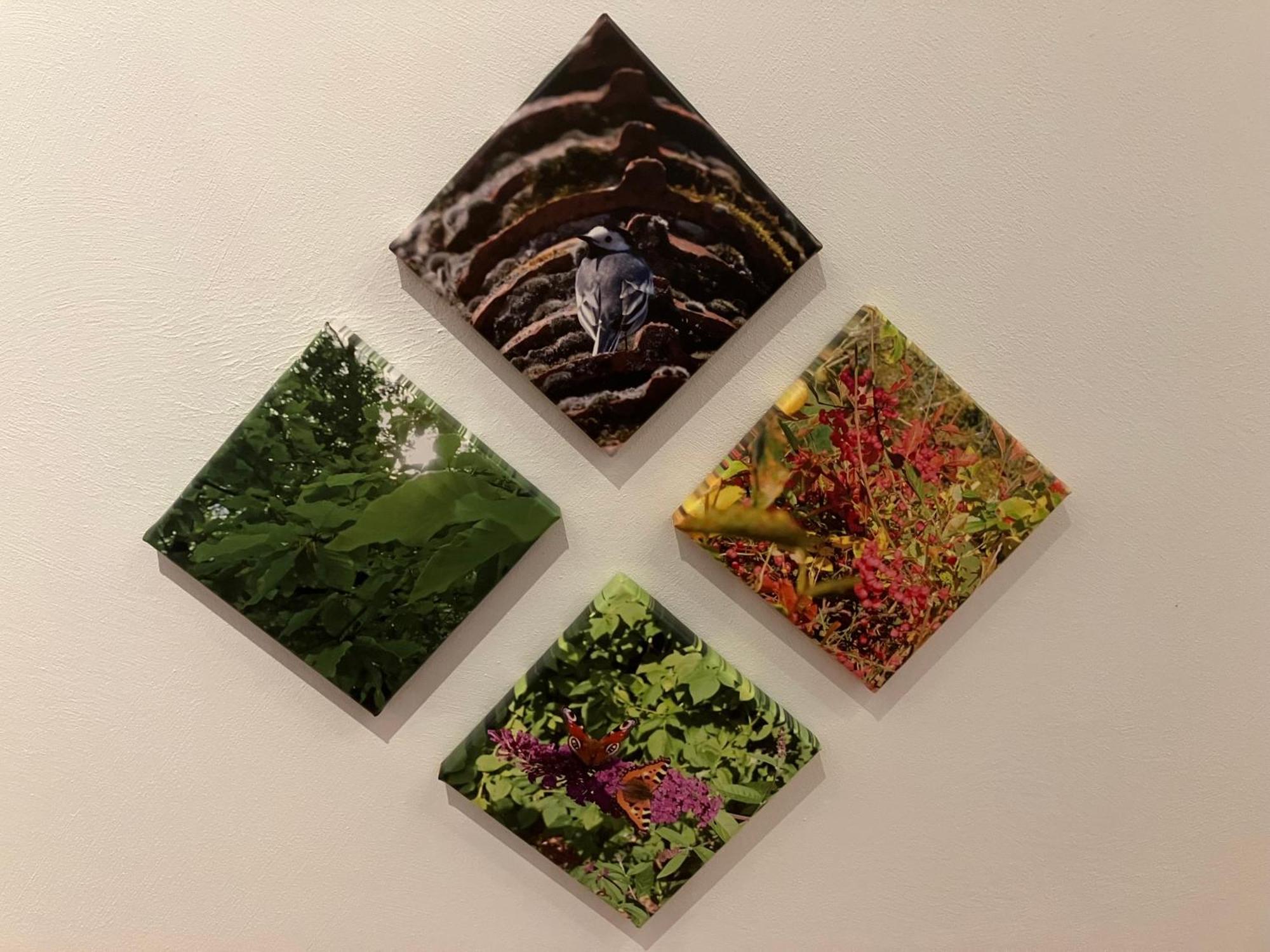 In Der Wassermuehle Melle Exteriér fotografie